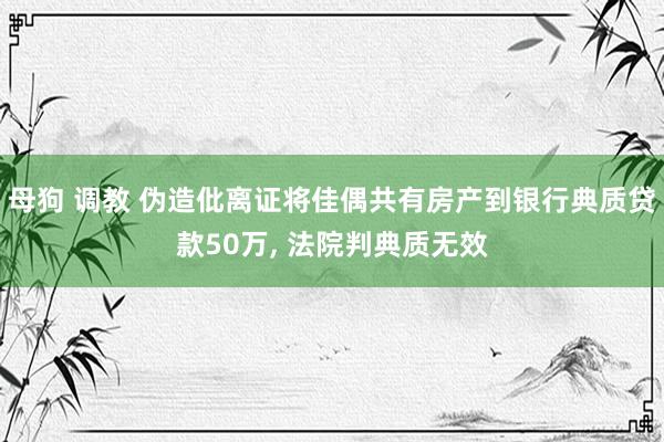 母狗 调教 伪造仳离证将佳偶共有房产到银行典质贷款50万， 法院判典质无效