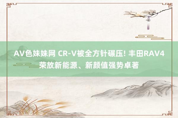 AV色妹妹网 CR-V被全方针碾压! 丰田RAV4荣放新能源、新颜值强势卓著