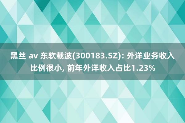 黑丝 av 东软载波(300183.SZ): 外洋业务收入比例很小， 前年外洋收入占比1.23%