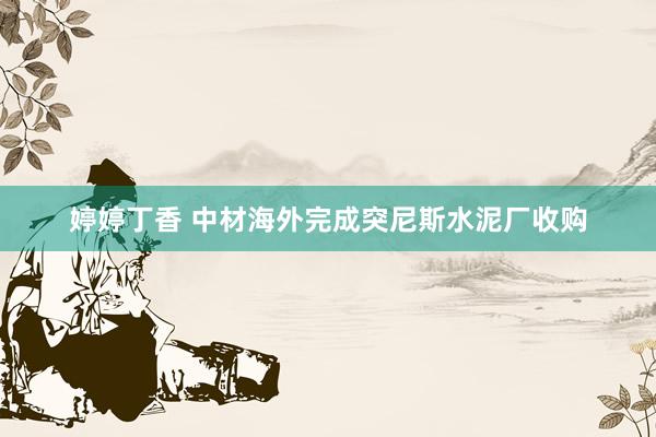 婷婷丁香 中材海外完成突尼斯水泥厂收购